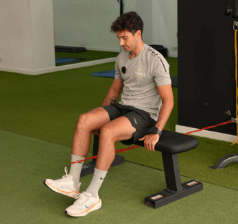 tabla de ejercicios rehabilitación rodilla