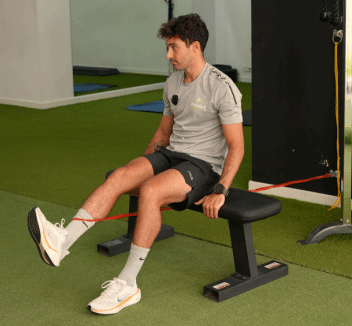 tabla de ejercicios para rehabilitación rodilla
